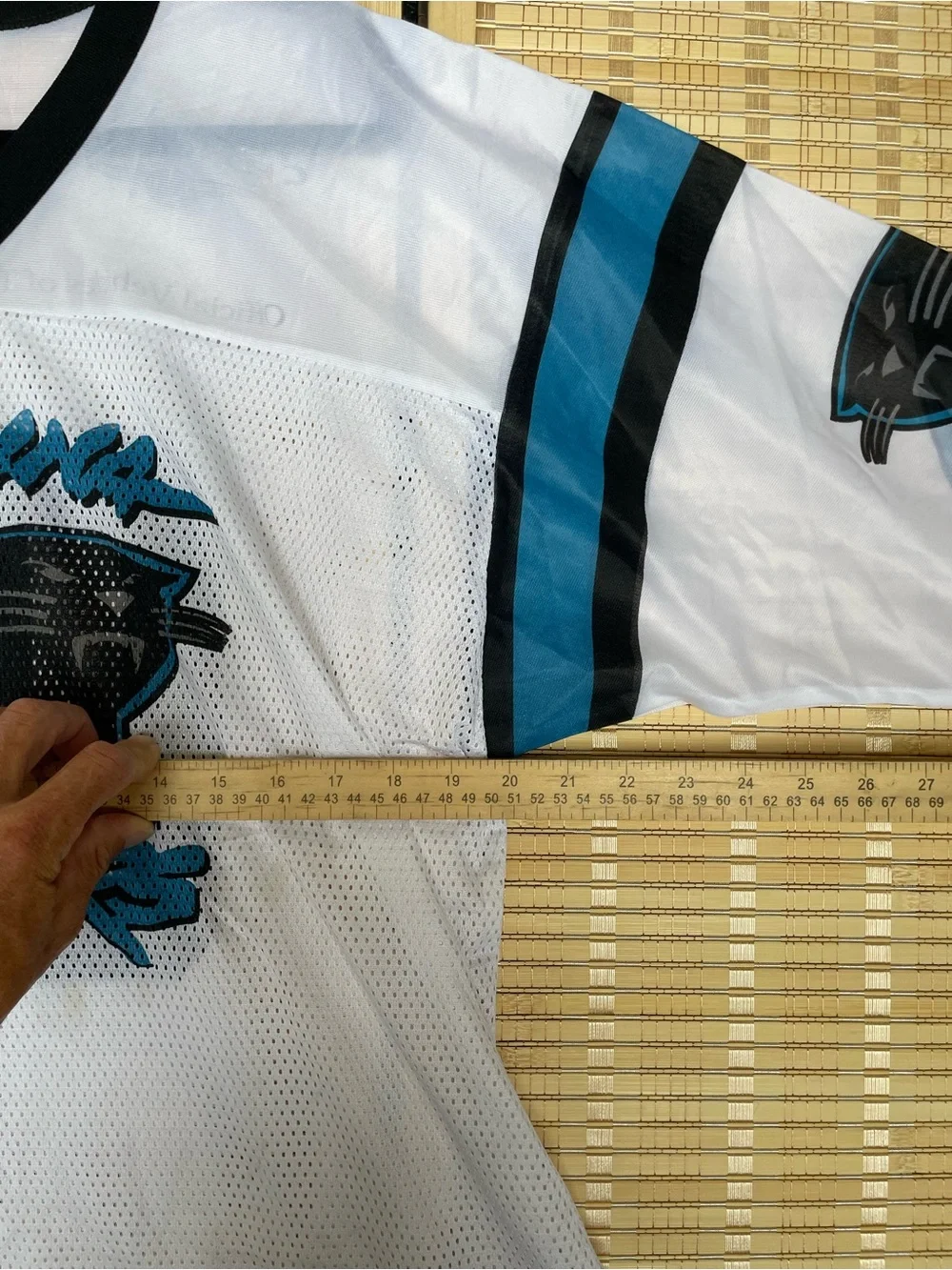 Carolina Panthers White & Teal Mesh Jersey Top